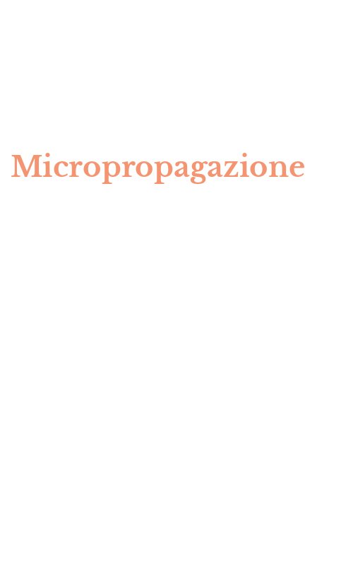 Micropropagazione