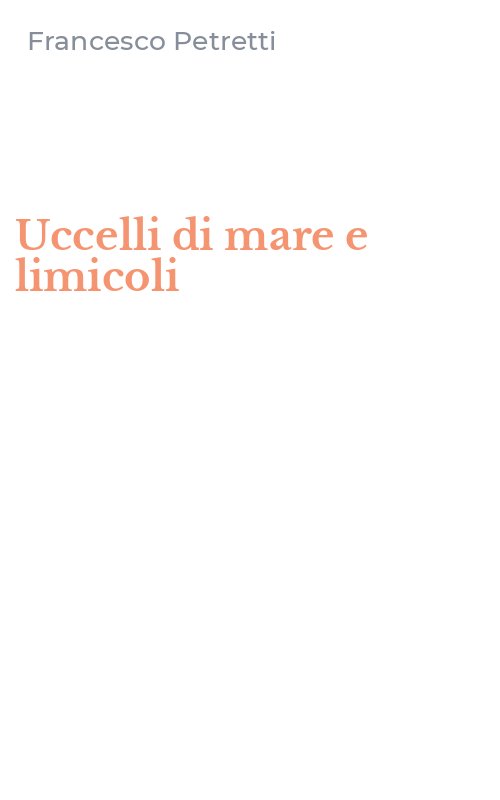 Uccelli di mare e limicoli