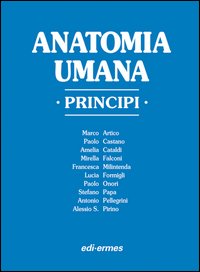 Anatomia umana. Principi