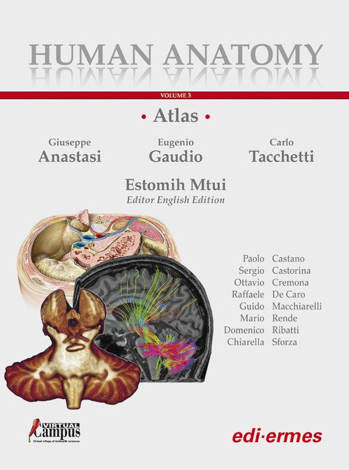 Human anatomy. Atlas