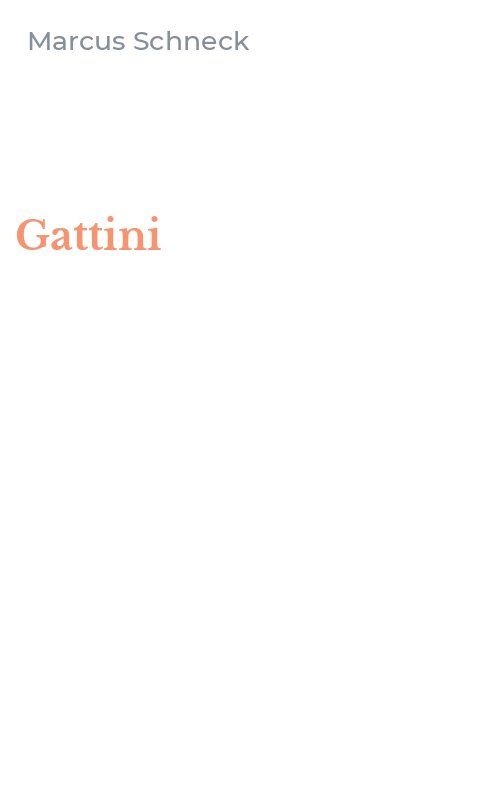 Gattini