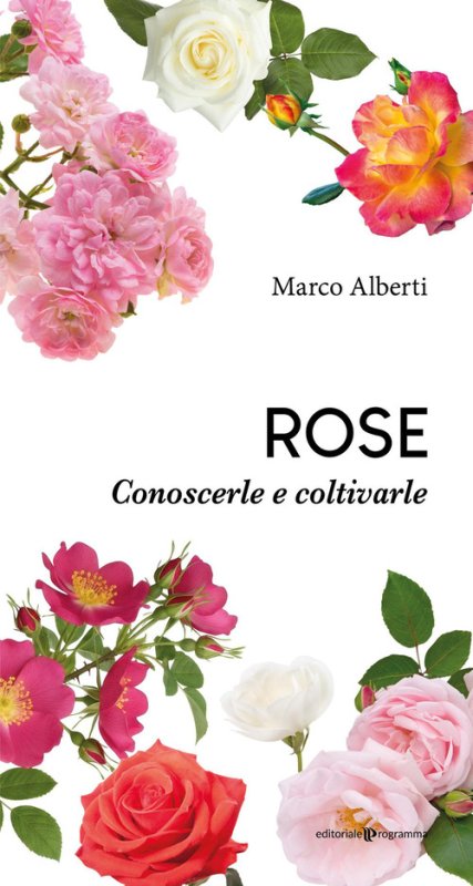 Rose. Conoscerle e coltivarle
