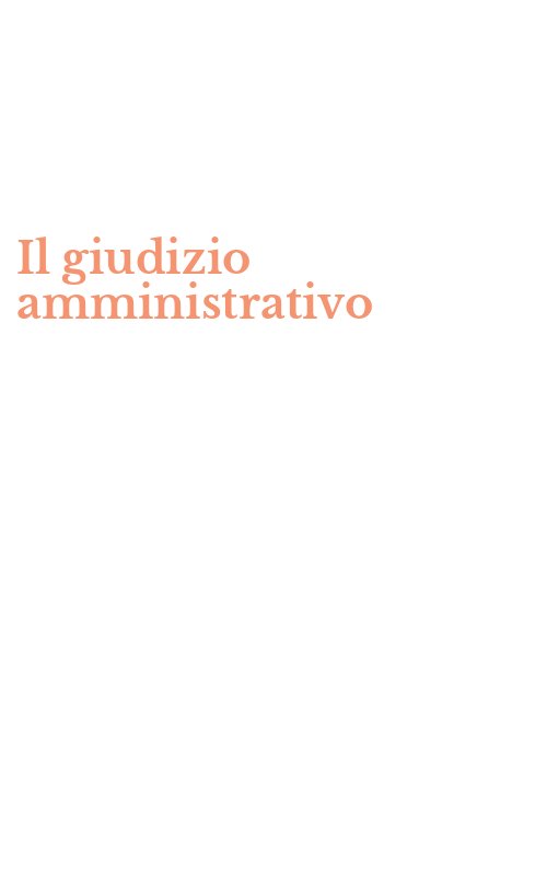 Il giudizio amministrativo