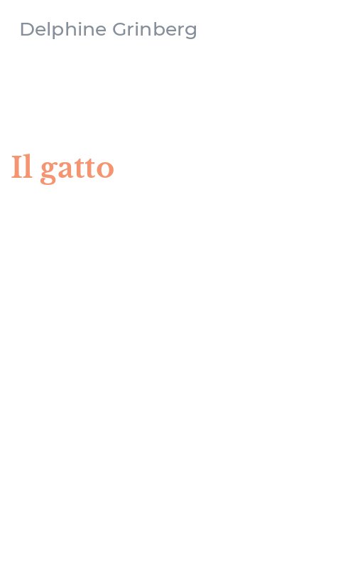 Il gatto