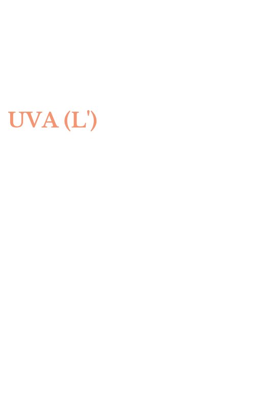 UVA (L')