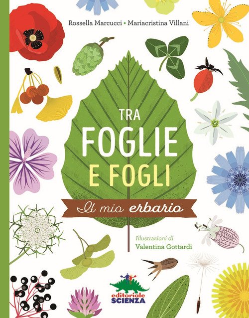 Tra foglie e fogli. Il mio erbario
