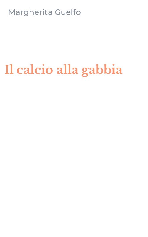 Il calcio alla gabbia
