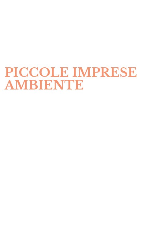 PICCOLE IMPRESE AMBIENTE