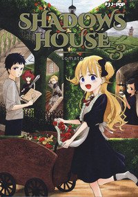 Shadows house