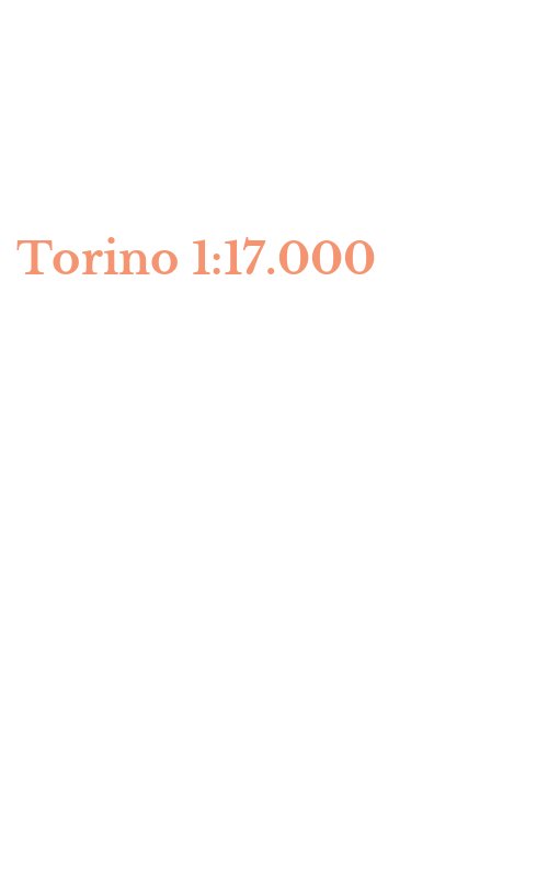Torino 1:17.000
