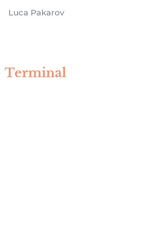 Terminal