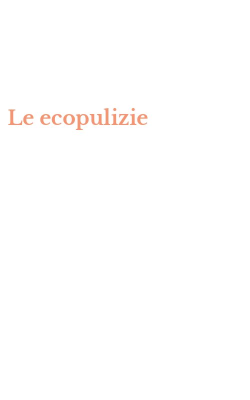 Le ecopulizie