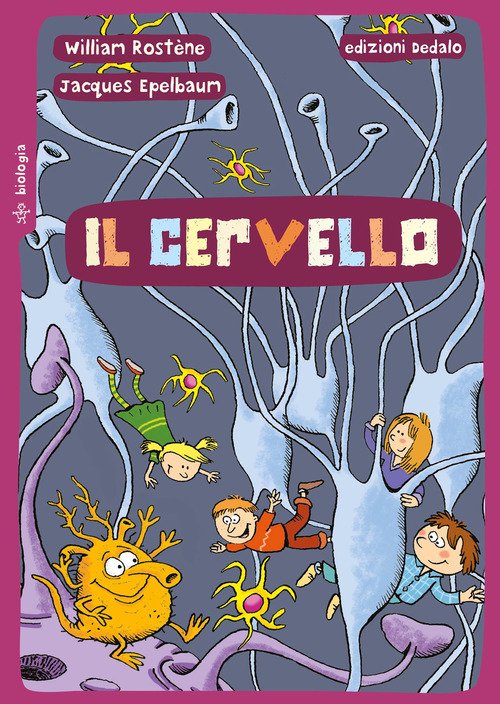 Il cervello