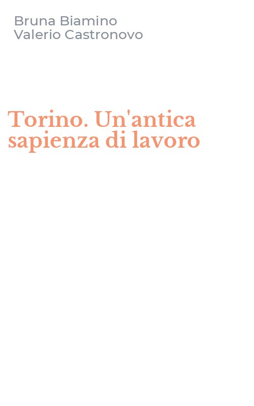 Torino. Un'antica sapienza di lavoro