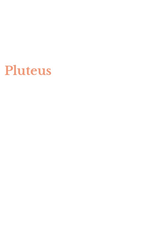 Pluteus