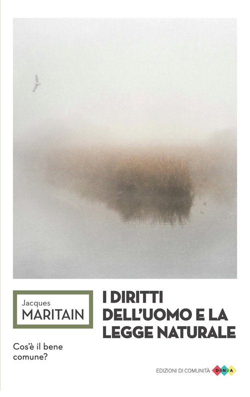 I diritti dell'uomo e la legge naturale