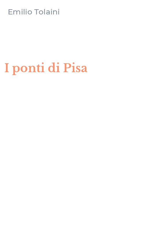 I ponti di Pisa