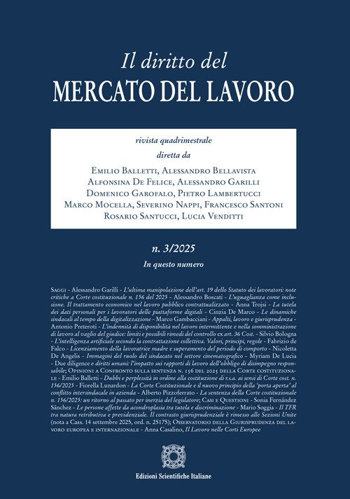 Il diritto del mercato del lavoro