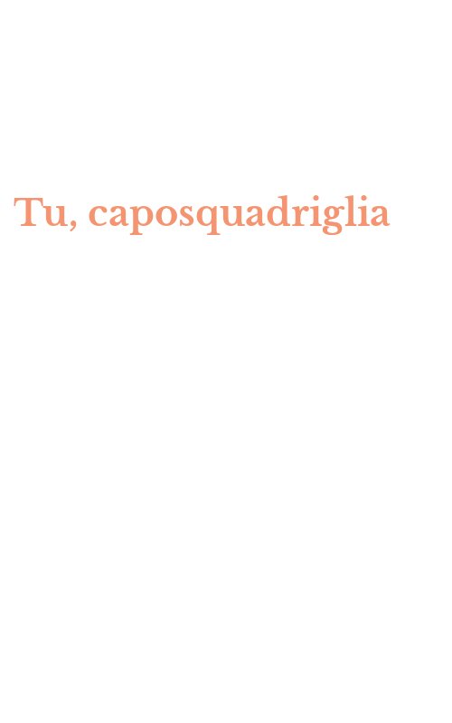 Tu, caposquadriglia