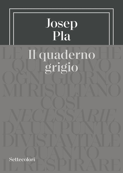 Il quaderno grigio