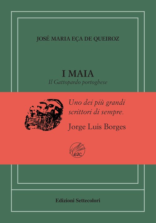 Maia. Il Gattopardo portoghese. Ediz. numerata