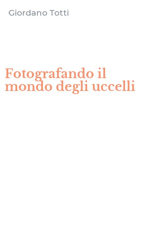 Fotografando il mondo degli uccelli