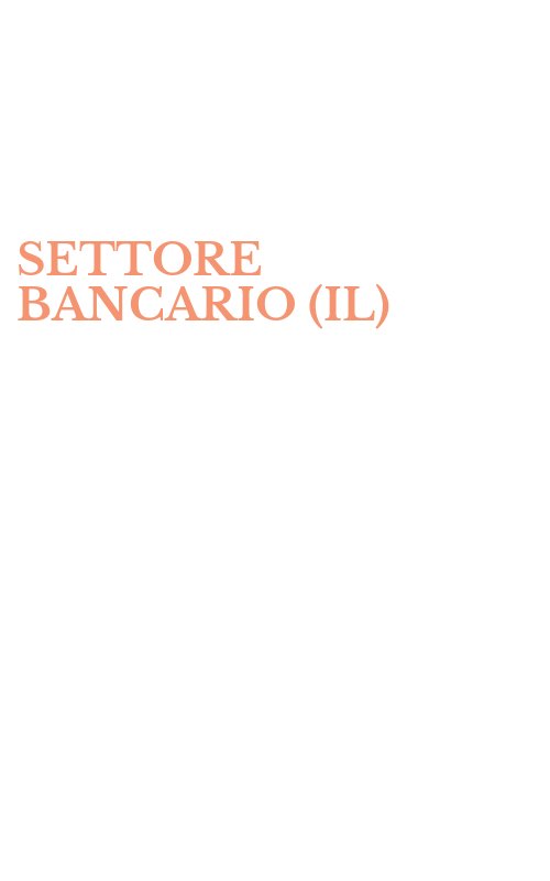 SETTORE BANCARIO (IL)