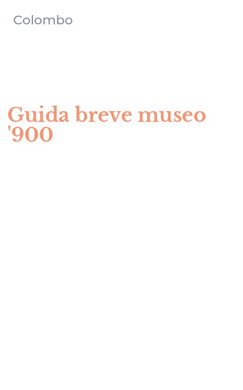 Guida breve museo '900