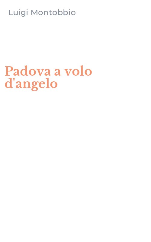Padova a volo d'angelo