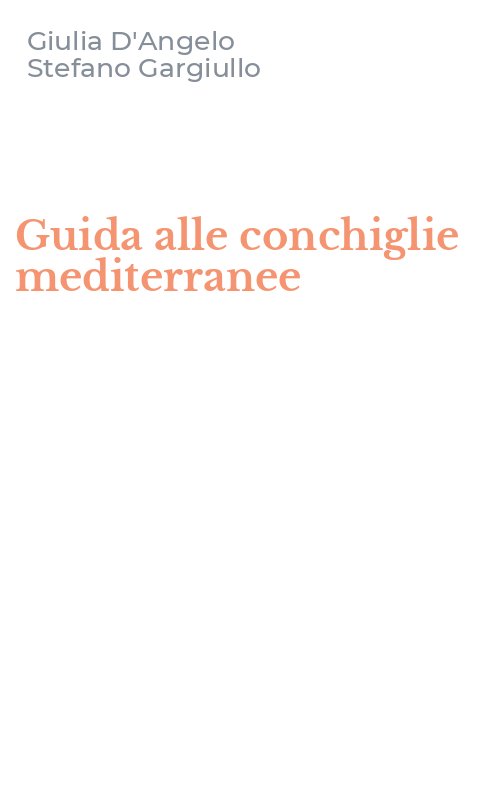 Guida alle conchiglie mediterranee