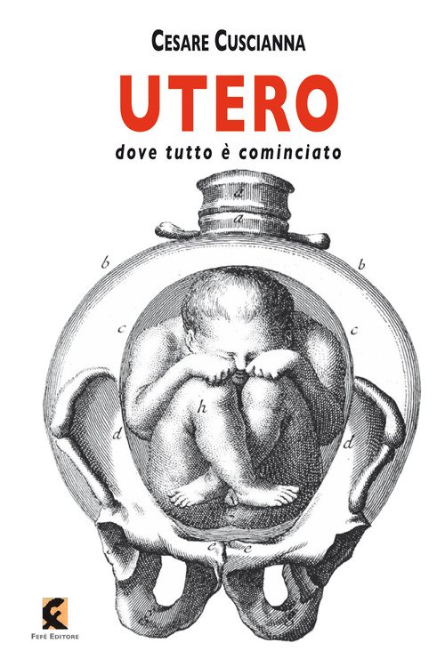 Utero. Dove tutto è cominciato