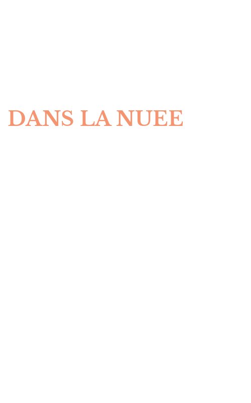 DANS LA NUEE