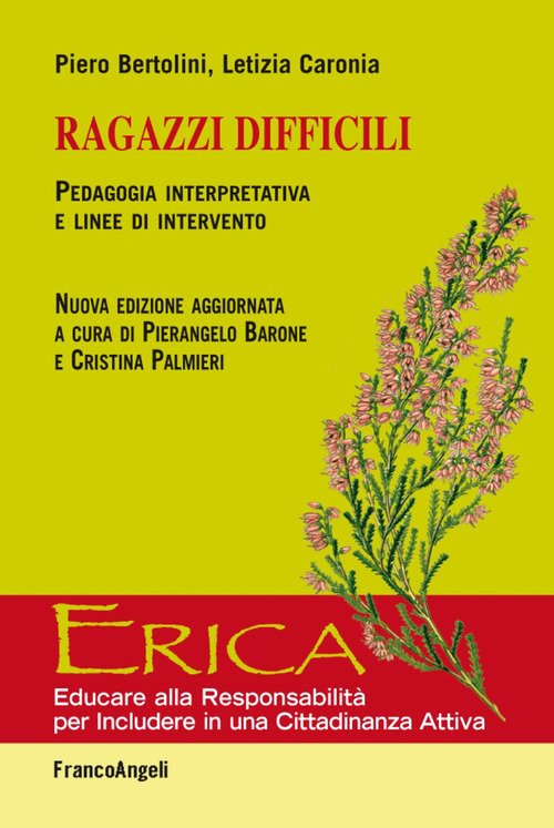 Ragazzi difficili. Pedagogia interpretativa e linee d'intervento