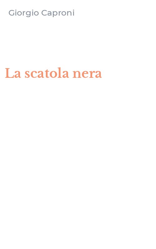 La scatola nera