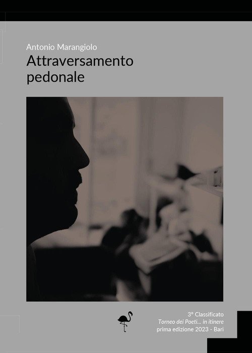 Attraversamento pedonale