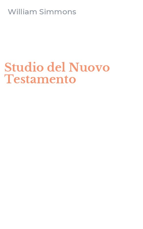Studio del Nuovo Testamento