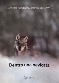 Dentro una nevicata