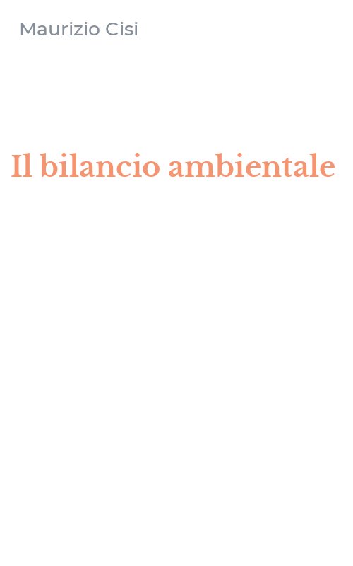 Il bilancio ambientale