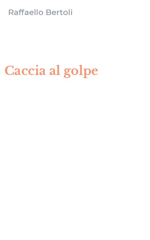 Caccia al golpe