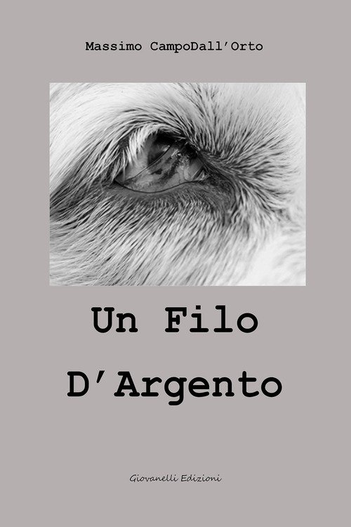 Un filo d'argento