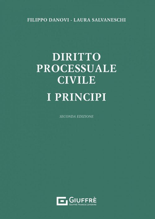 Diritto processuale civile. I principi