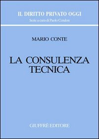 La consulenza tecnica