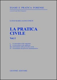 La pratica civile