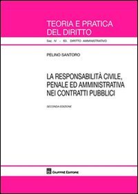 La responsabilità civile, penale ed amministrativa nei contratti pubblici