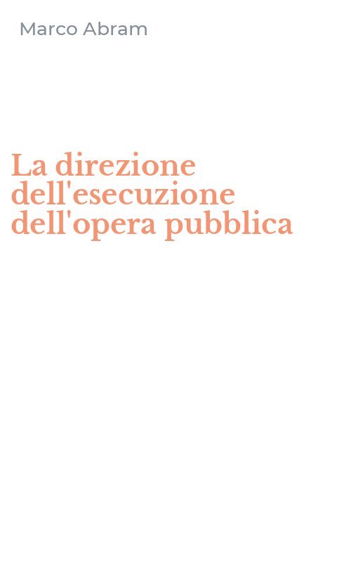 La direzione dell'esecuzione dell'opera pubblica
