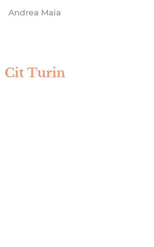 Cit Turin