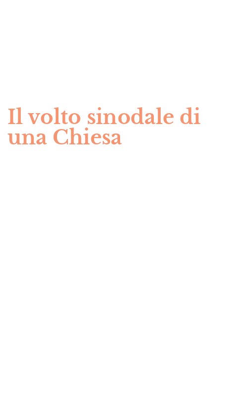 Il volto sinodale di una Chiesa