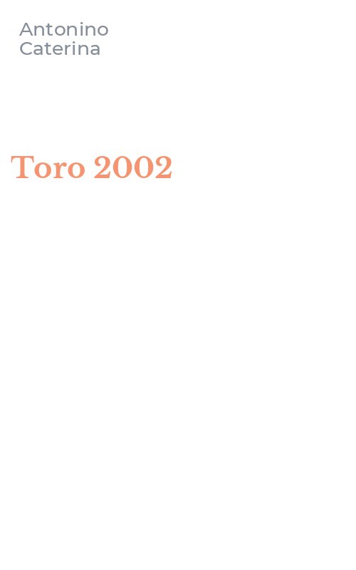 Toro 2002