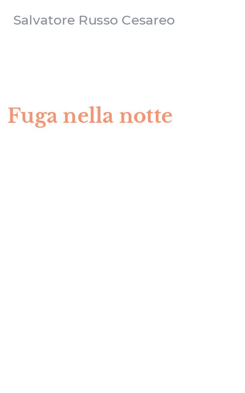 Fuga nella notte