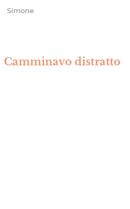 Camminavo distratto